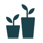 Novellus Cypresswood | Gardening