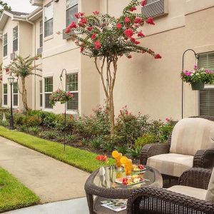 Novellus Cypresswood | Walking path